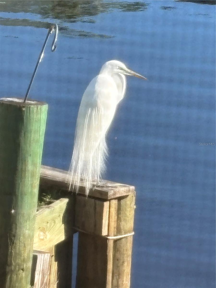 Image 17 of 27 For 1074 Front Street 51