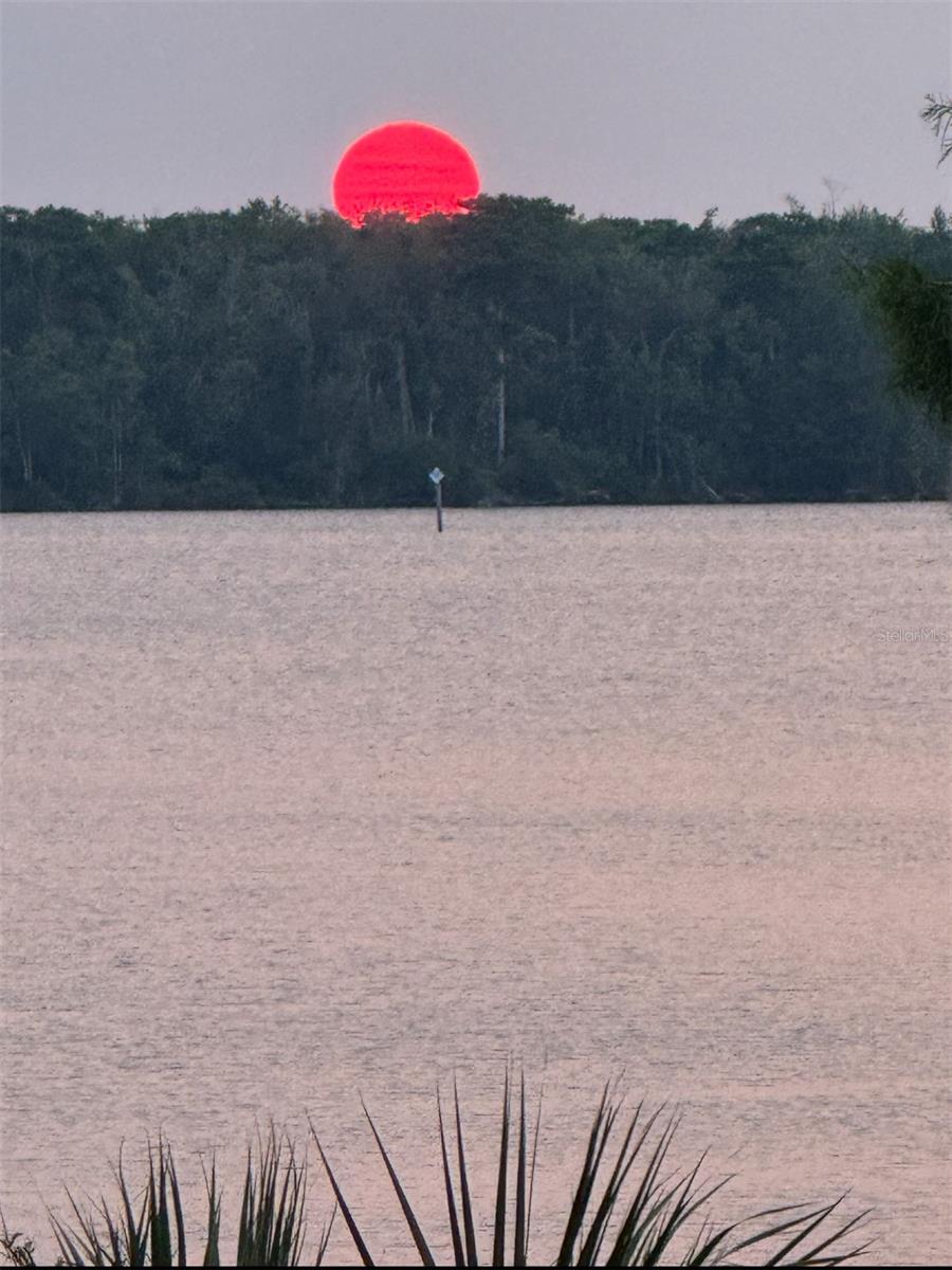 Image 19 of 27 For 1074 Front Street 51