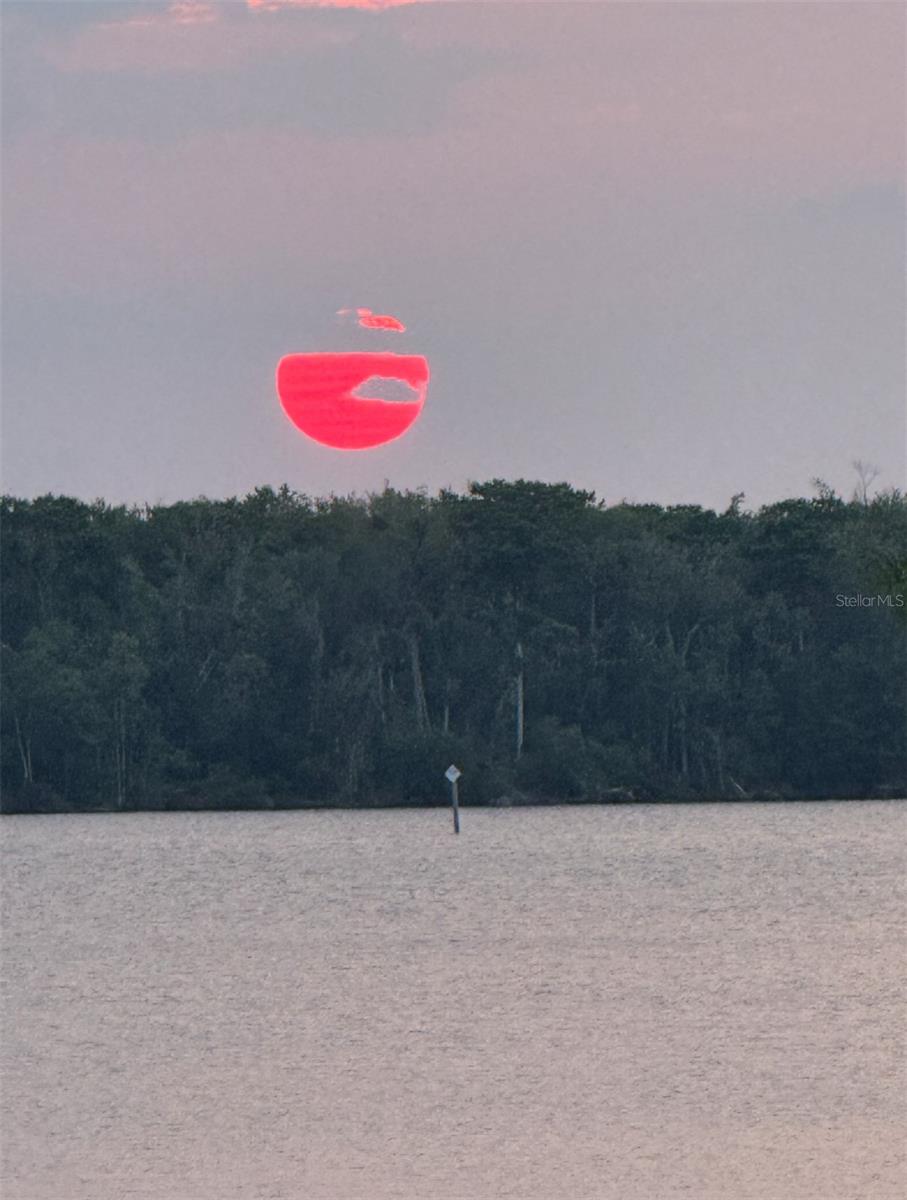 Image 27 of 27 For 1074 Front Street 51