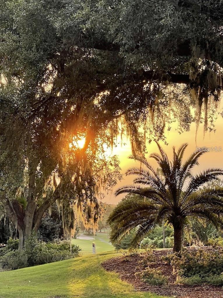 Image 20 of 30 For 9901 Santa Barbara Court