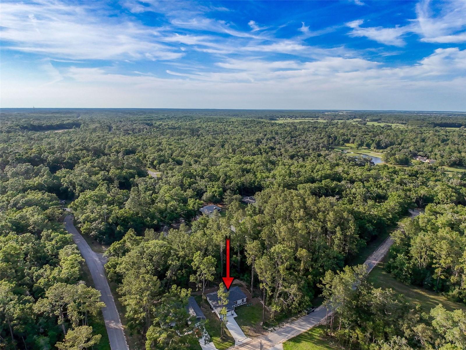 Image 48 of 50 For 9980 Bamboo Way