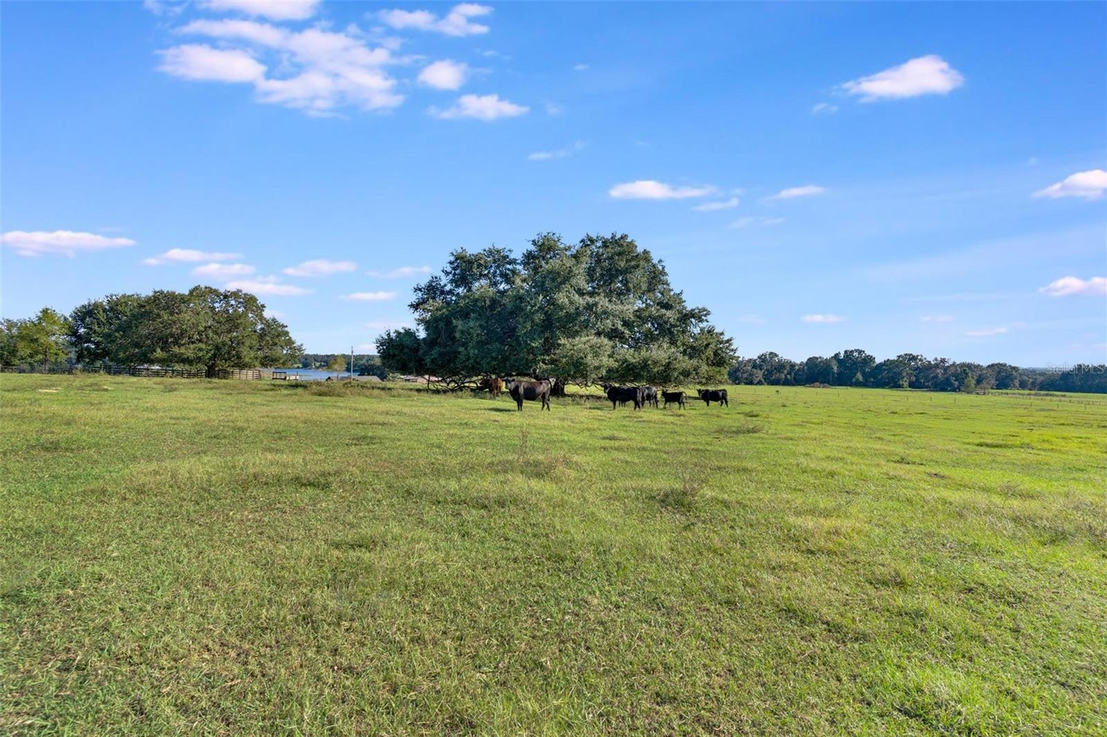 Image 10 of 17 For 156th Place Road