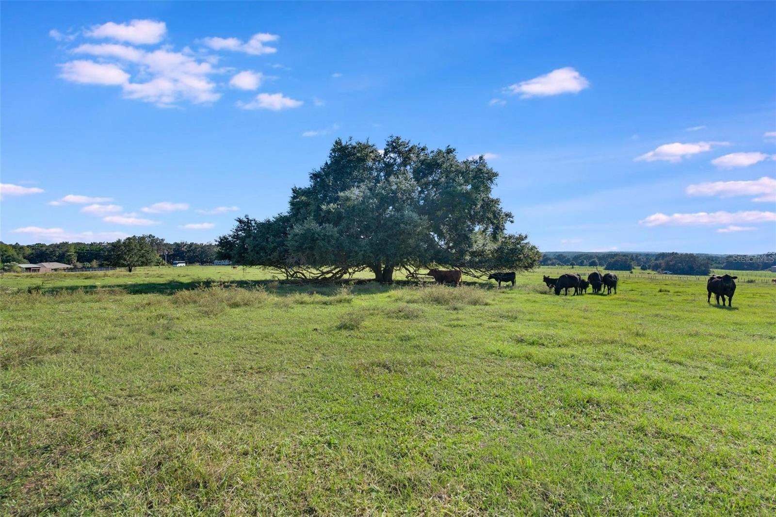 Image 13 of 17 For 156th Place Road