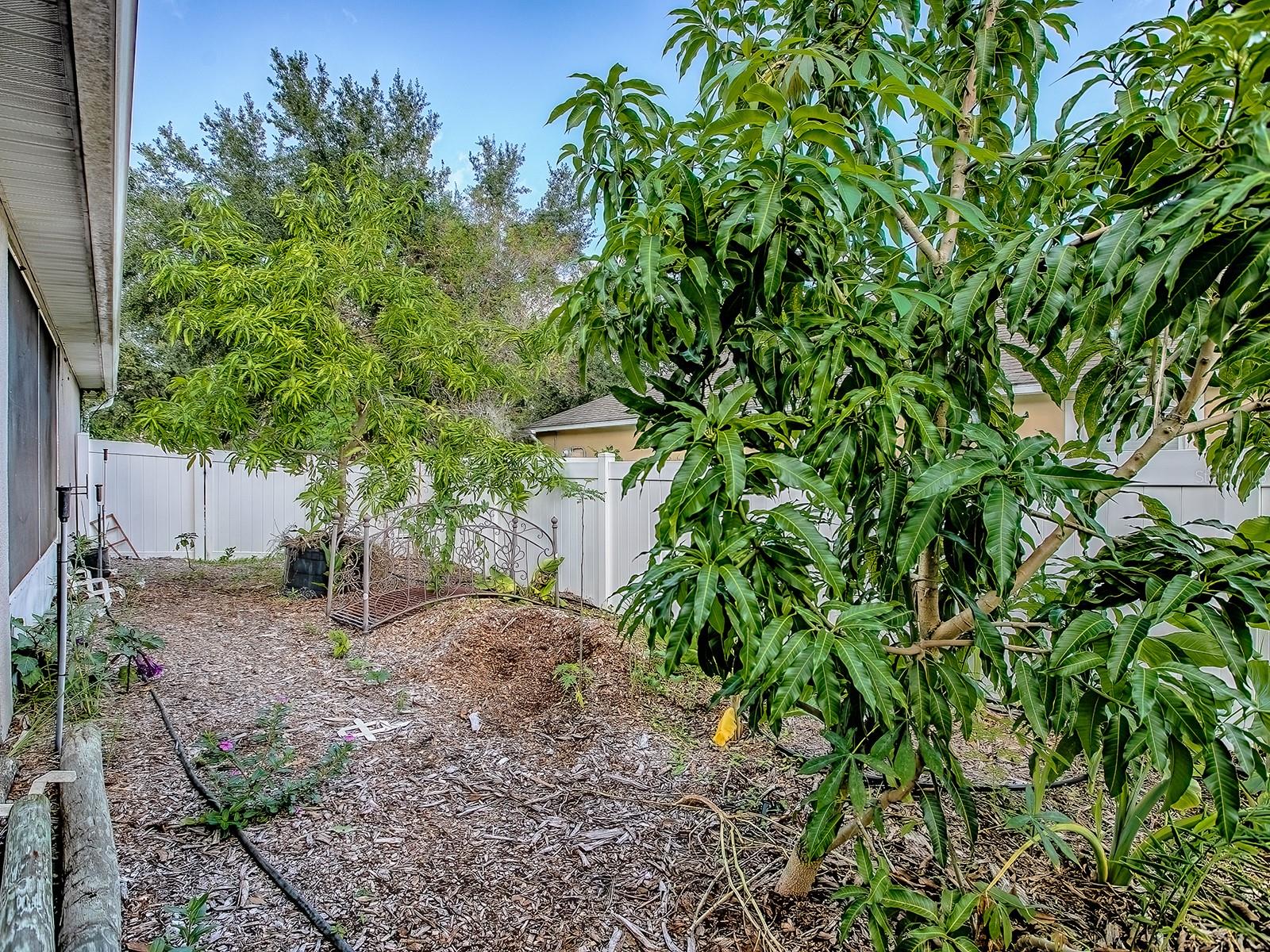 Image 47 of 67 For 7642 Park Hill Avenue