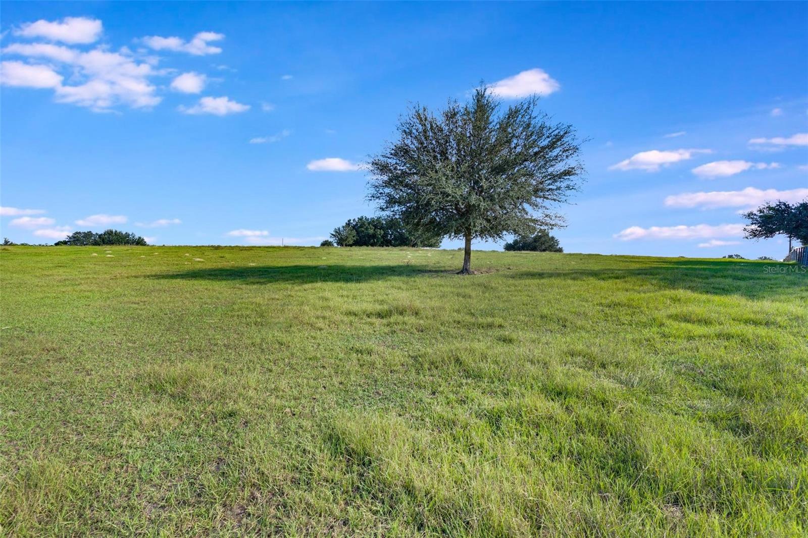 Details for 156th Place Road, WEIRSDALE, FL 32195