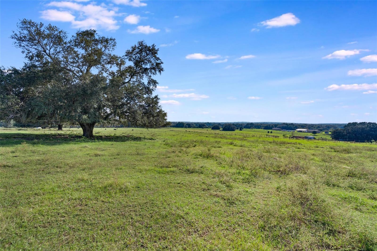 Image 10 of 13 For 156th Place Road