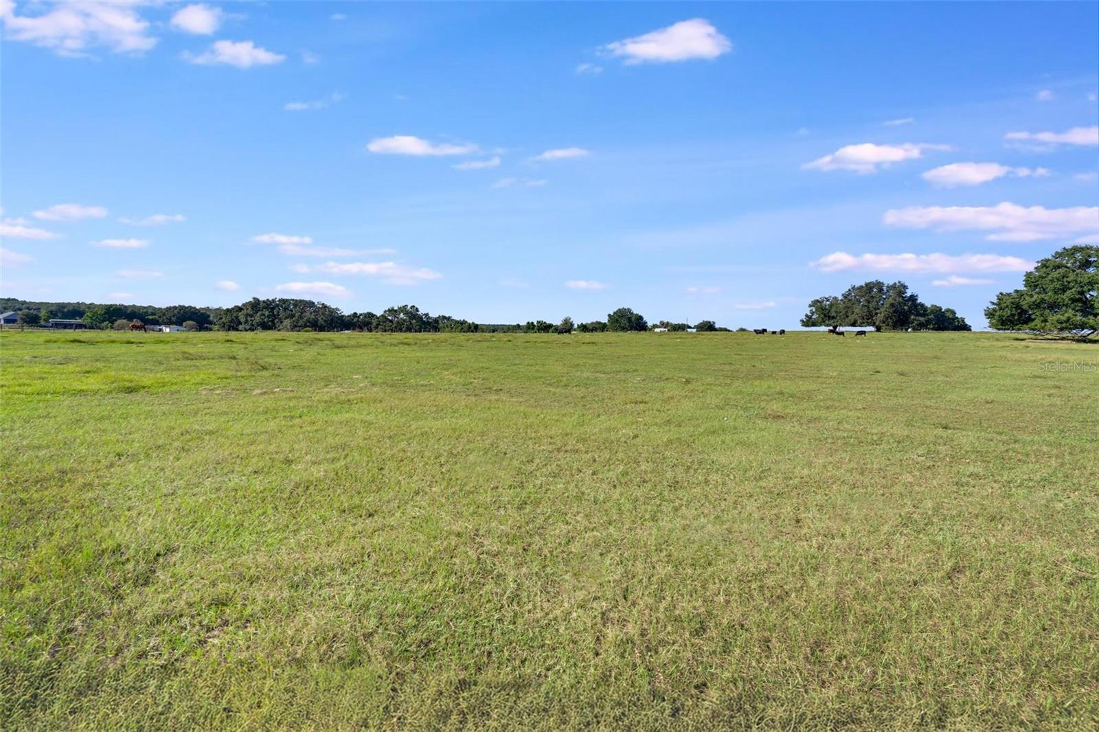 Image 12 of 13 For 156th Place Road