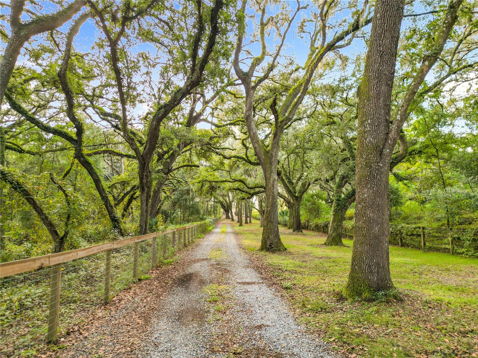 Image 5 of 88 For 4981 110th Street Ne