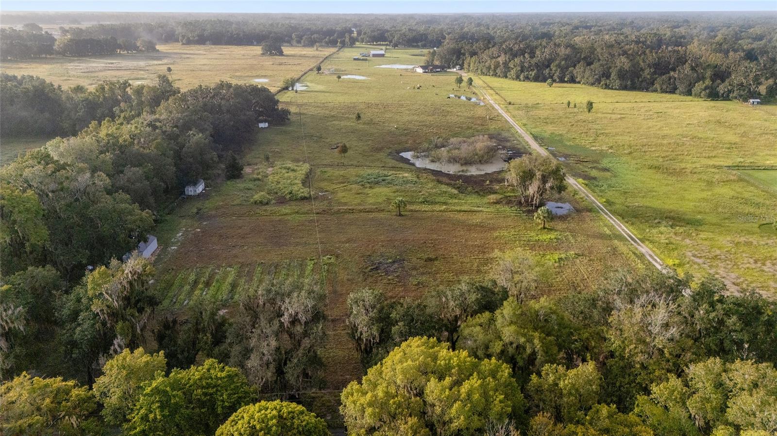 Image 18 of 36 For 3623 Cr 526  