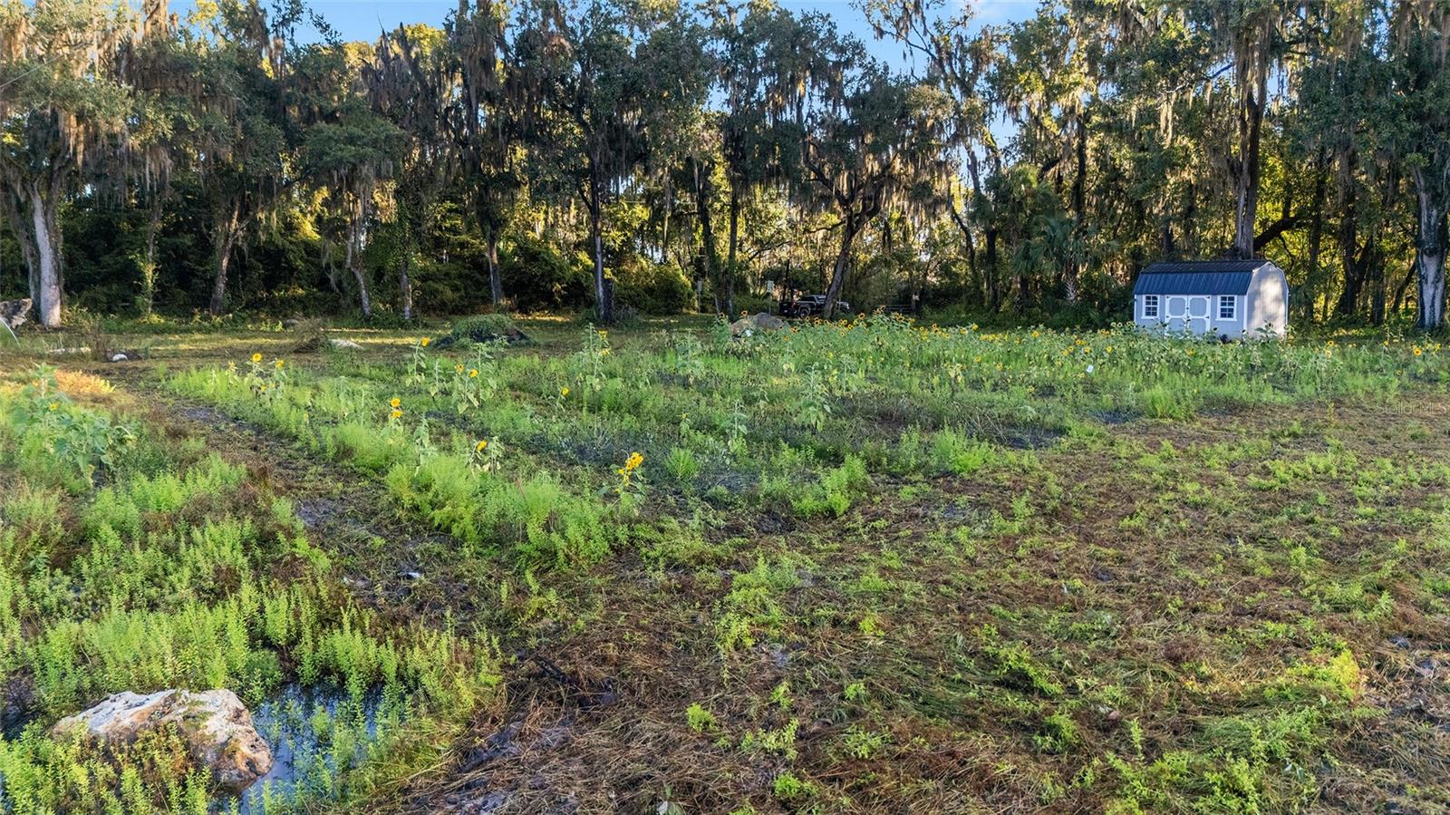 Image 31 of 36 For 3623 Cr 526  