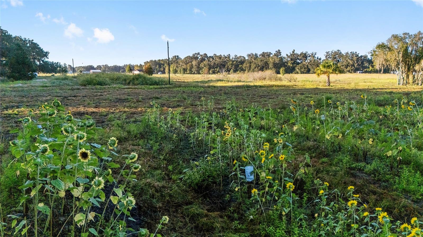 Image 33 of 36 For 3623 Cr 526  