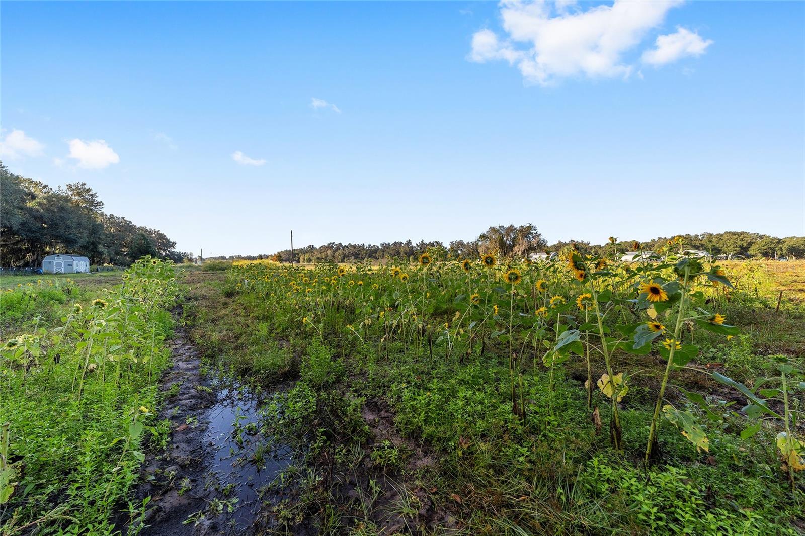 Image 5 of 36 For 3623 Cr 526  