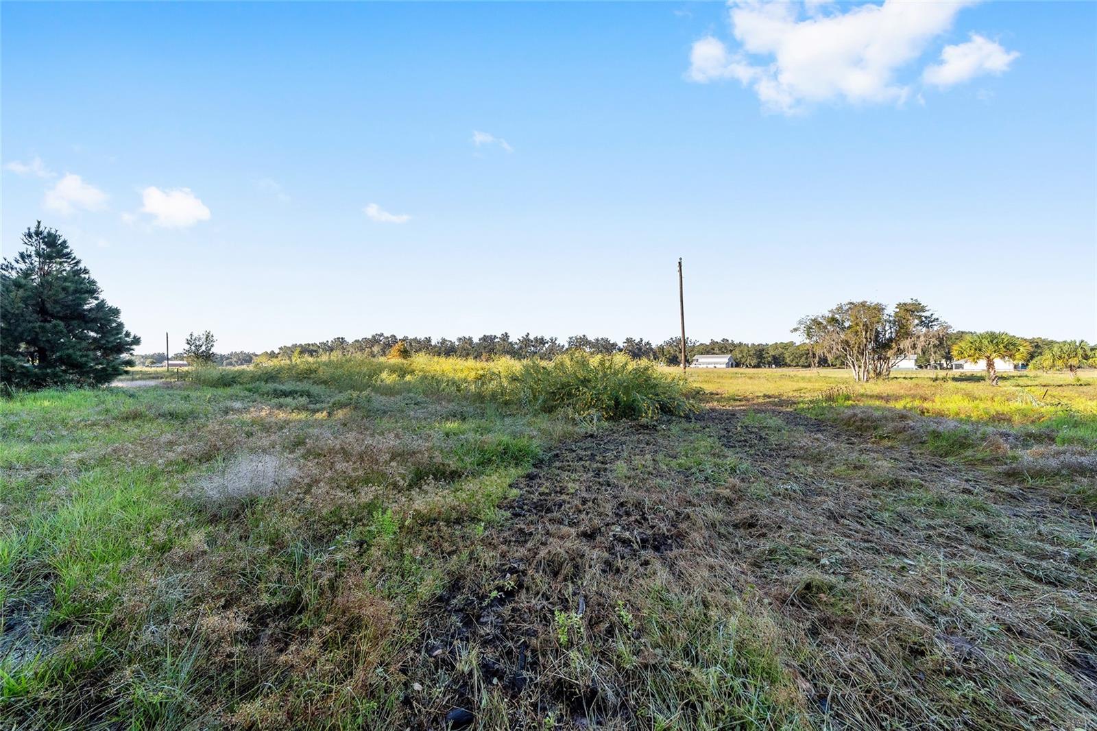 Image 7 of 36 For 3623 Cr 526  