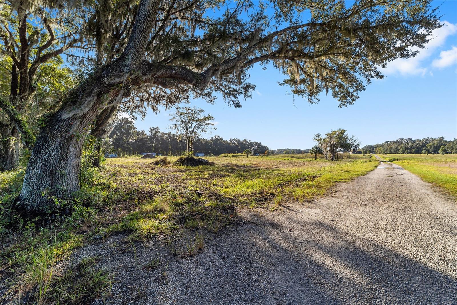 Image 8 of 36 For 3623 Cr 526  