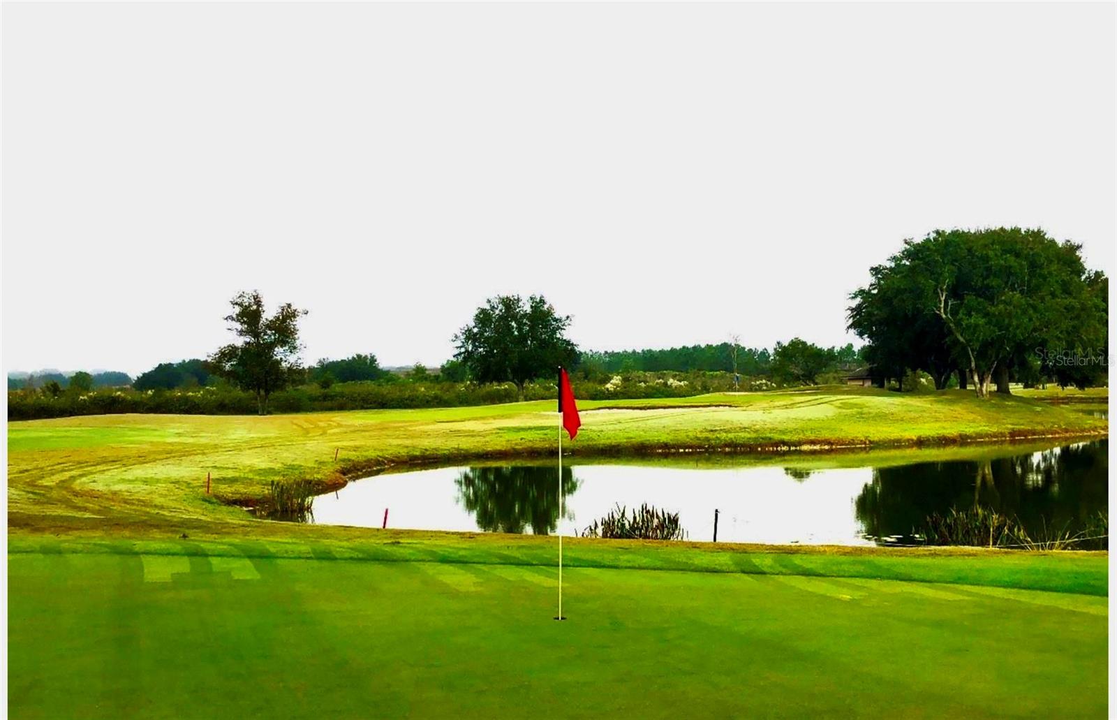 Image 60 of 67 For 5124 Links Lane