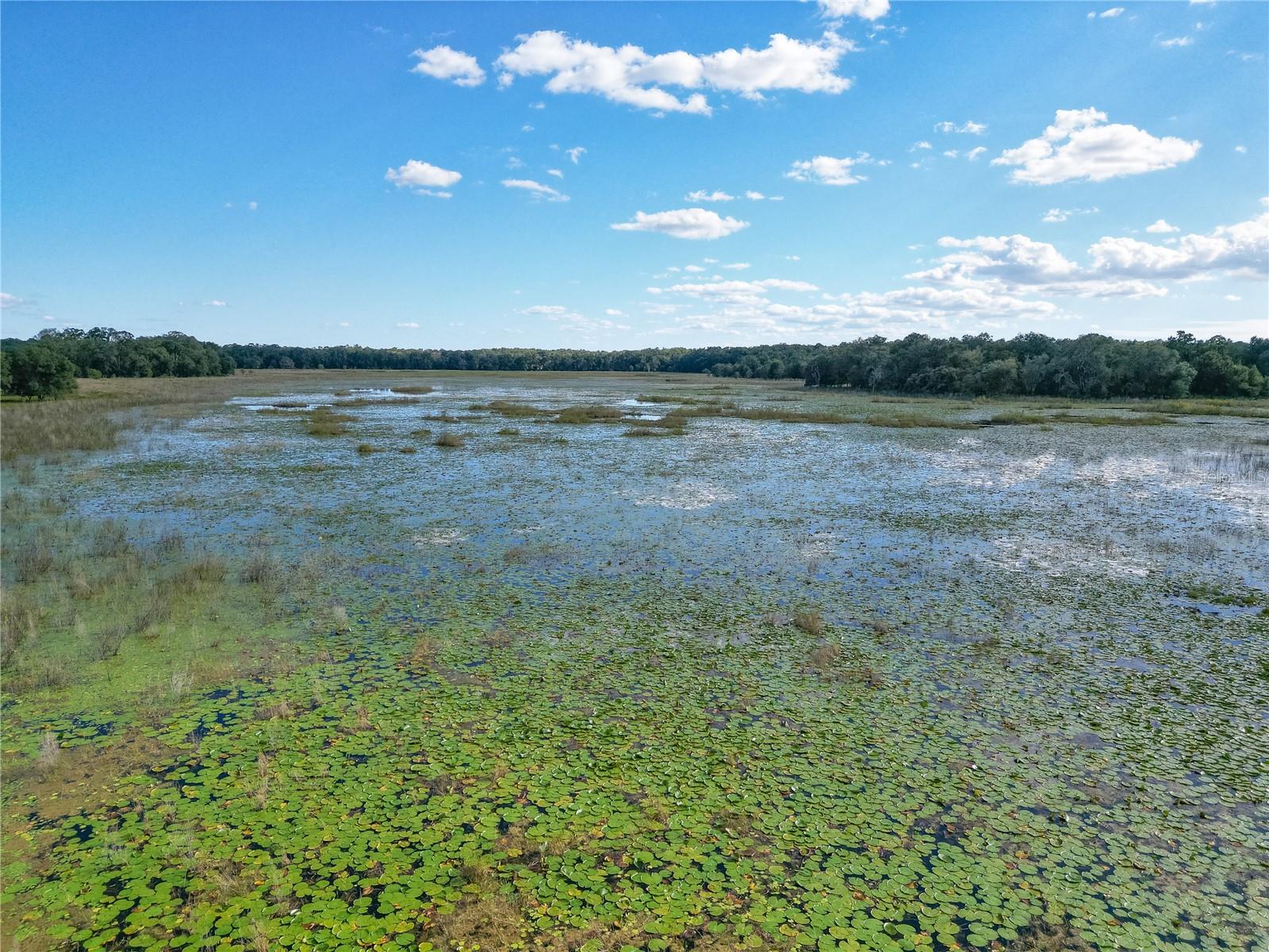 Image 11 of 69 For Tbd Cr 673  