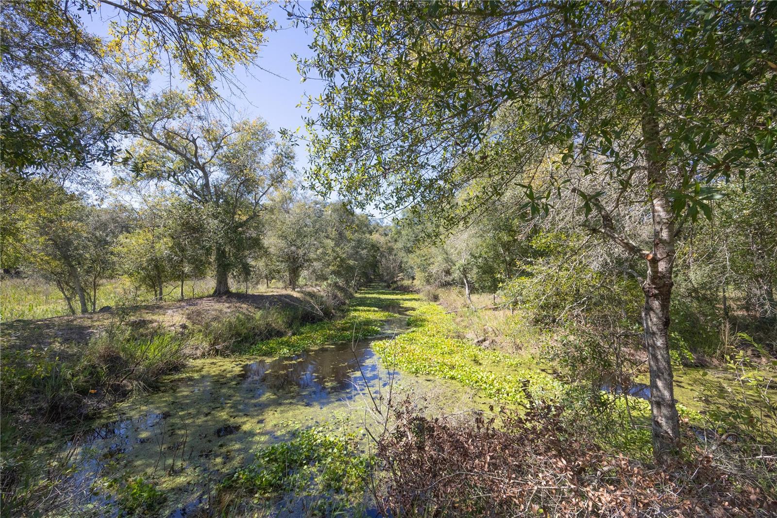 Image 16 of 69 For Tbd Cr 673  