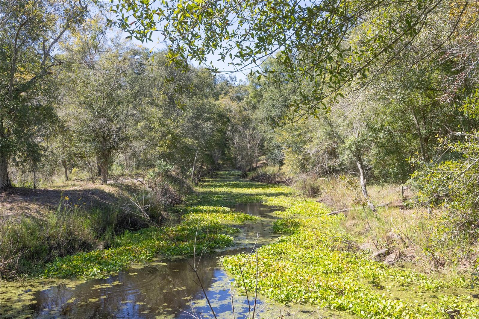 Image 30 of 69 For Tbd Cr 673  