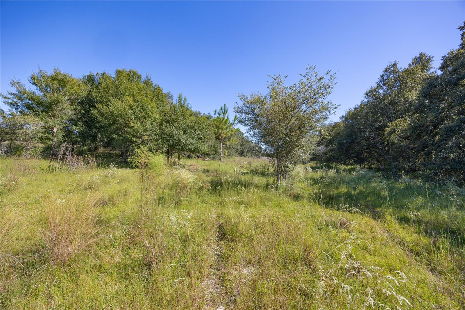 Image 31 of 69 For Tbd Cr 673  