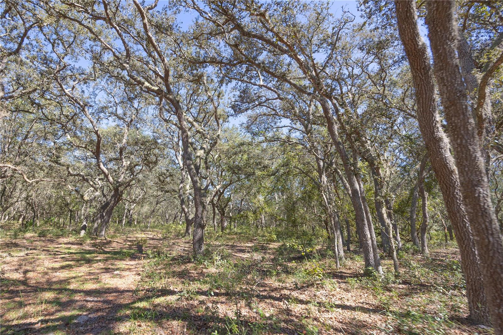 Image 53 of 69 For Tbd Cr 673  