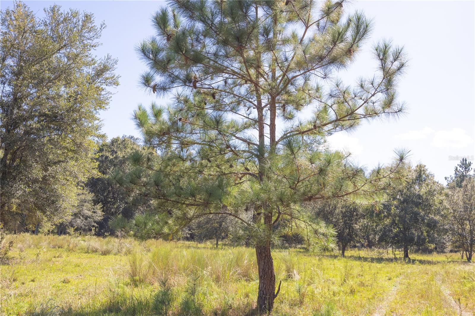 Image 58 of 69 For Tbd Cr 673  