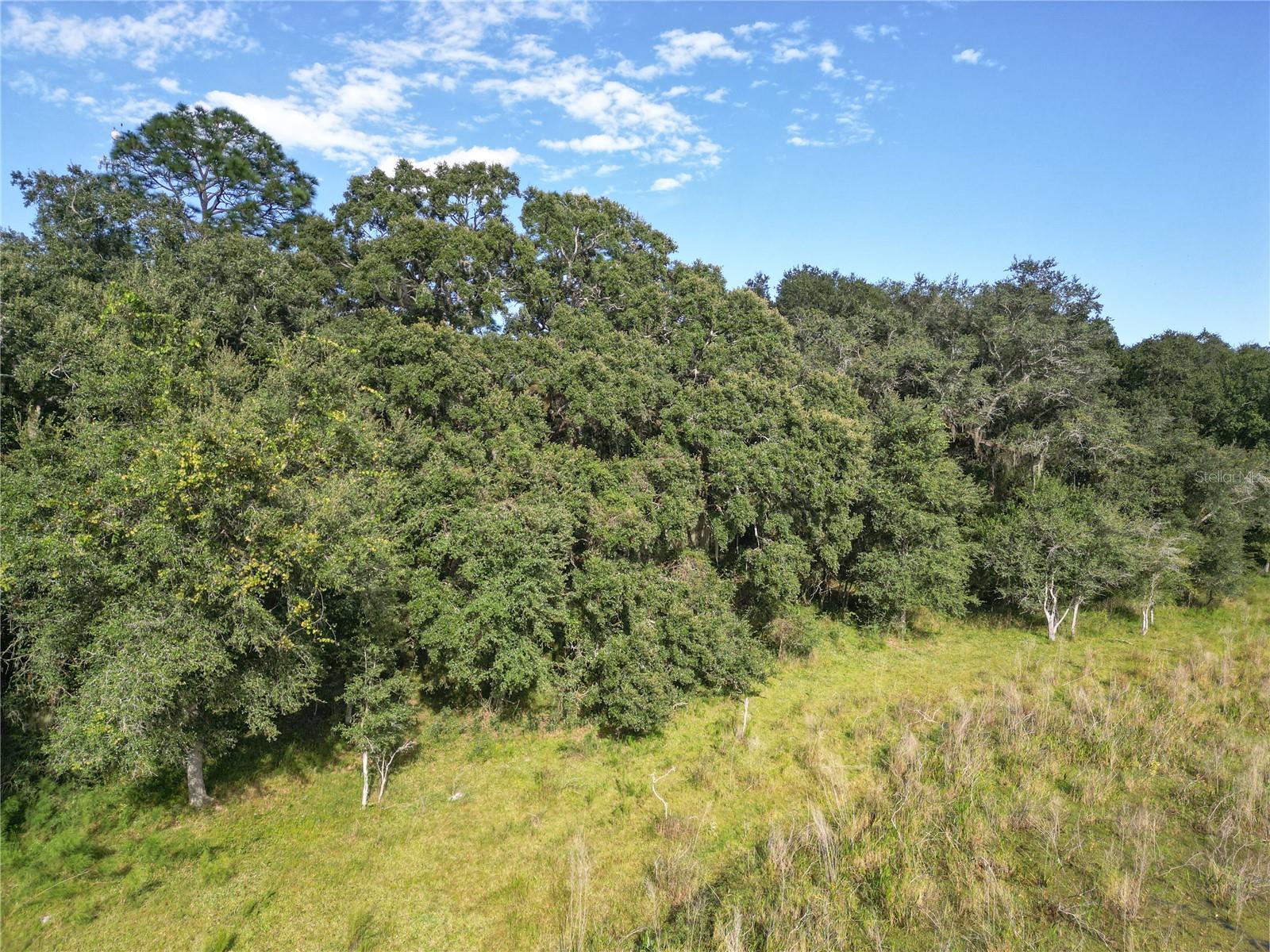 Image 61 of 69 For Tbd Cr 673  