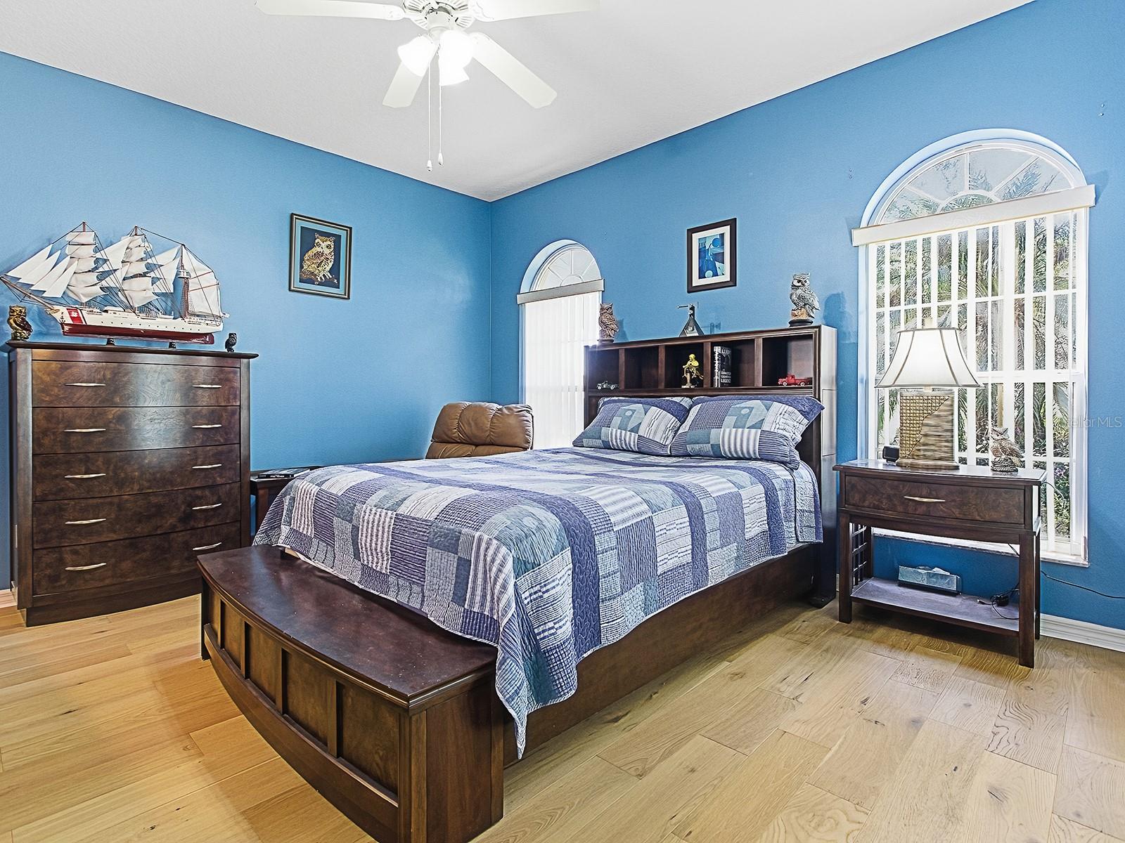 Image 22 of 41 For 3592 Tropical Seas Loop