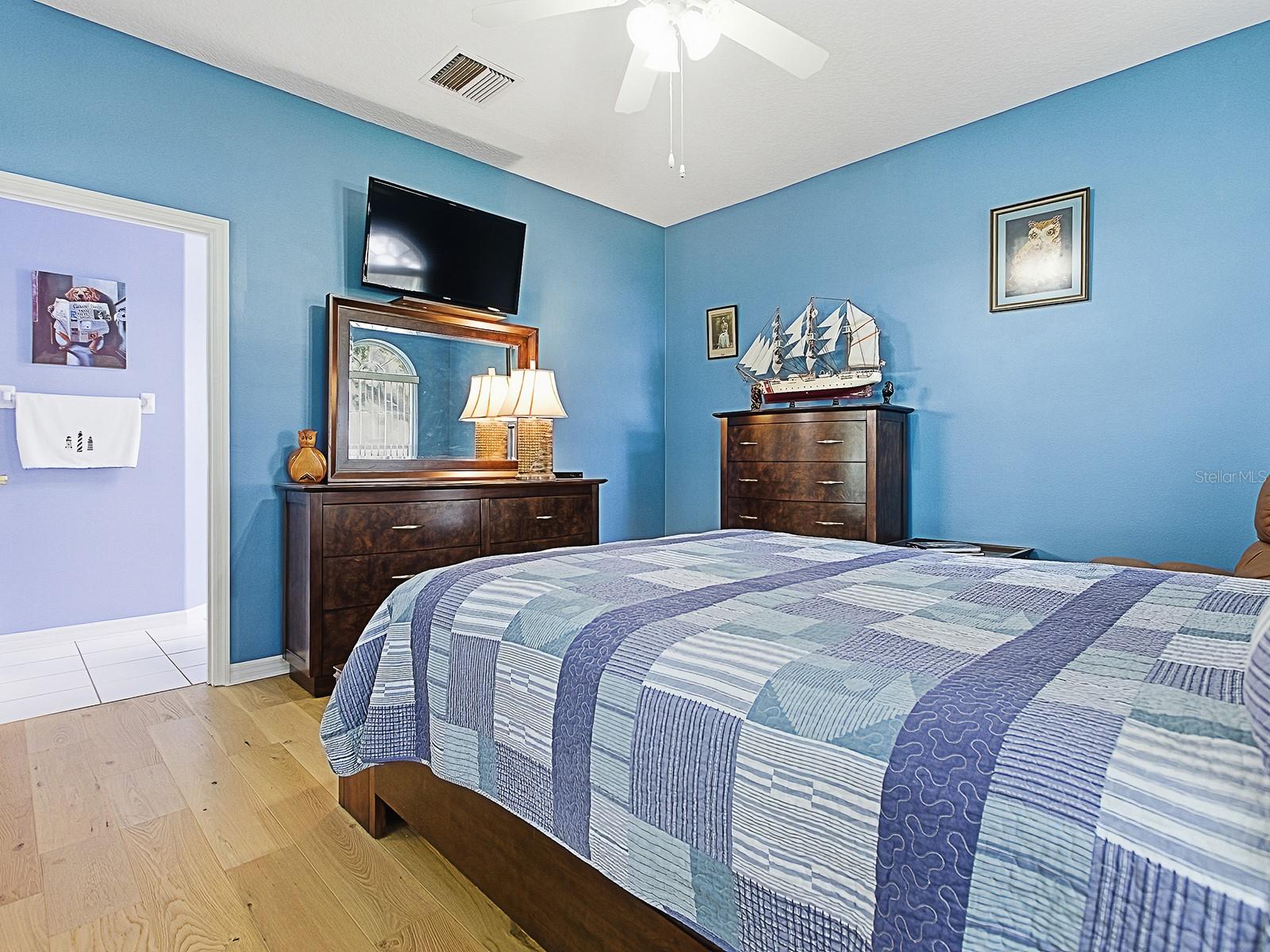 Image 24 of 41 For 3592 Tropical Seas Loop