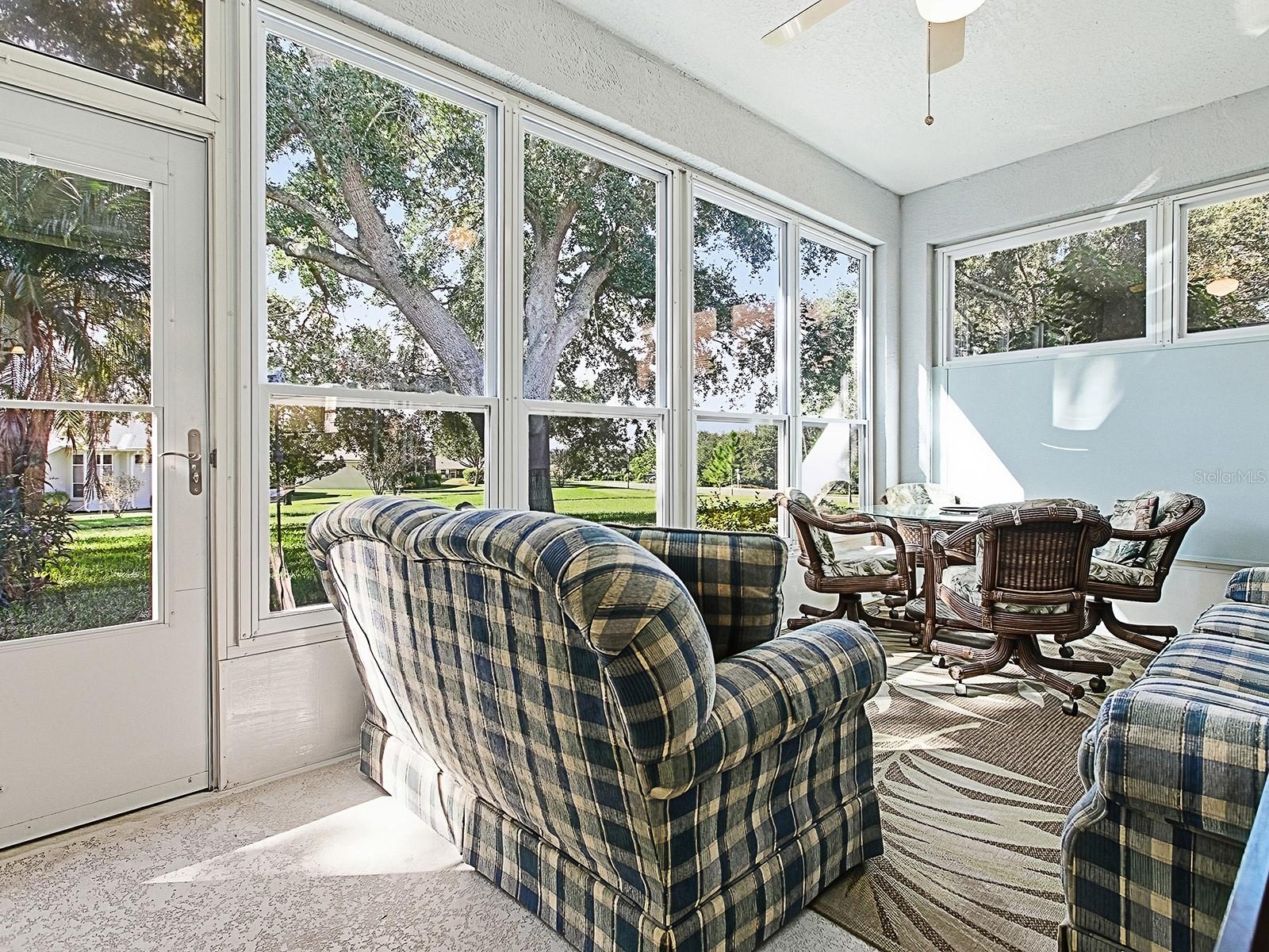 Image 32 of 41 For 3592 Tropical Seas Loop