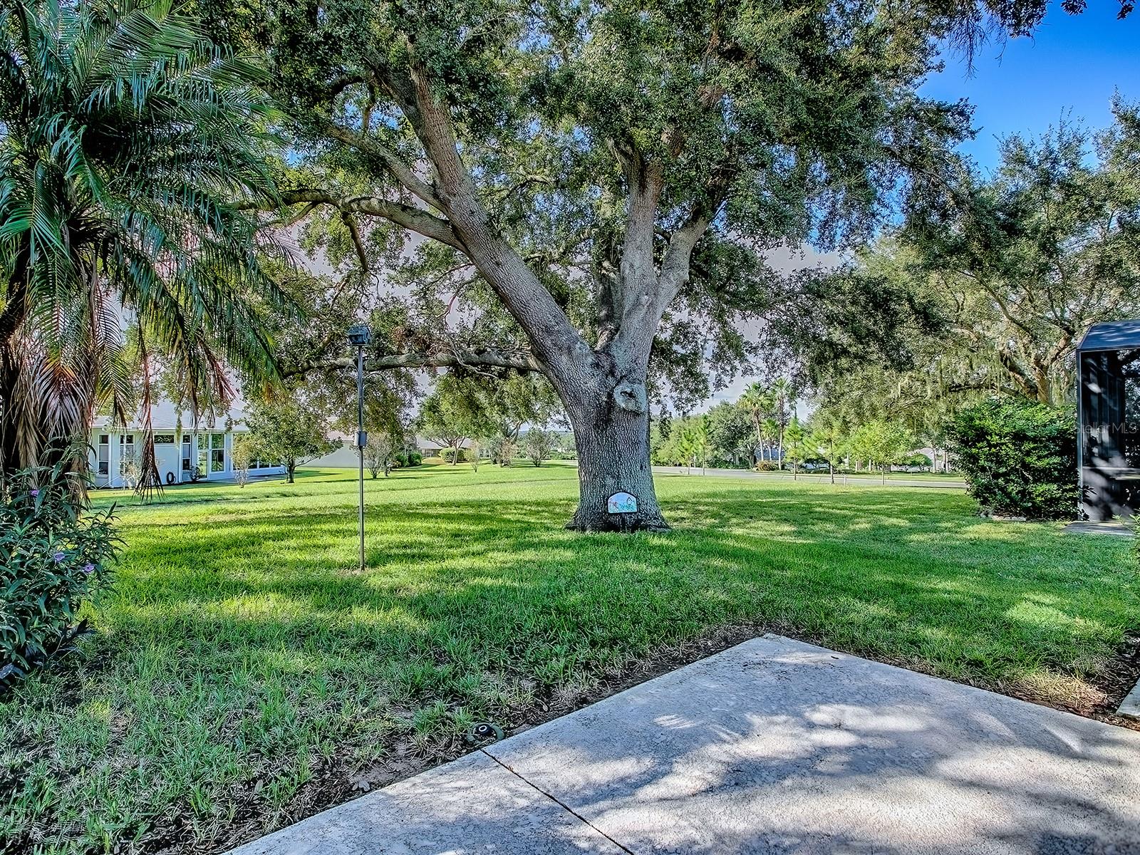 Image 36 of 41 For 3592 Tropical Seas Loop