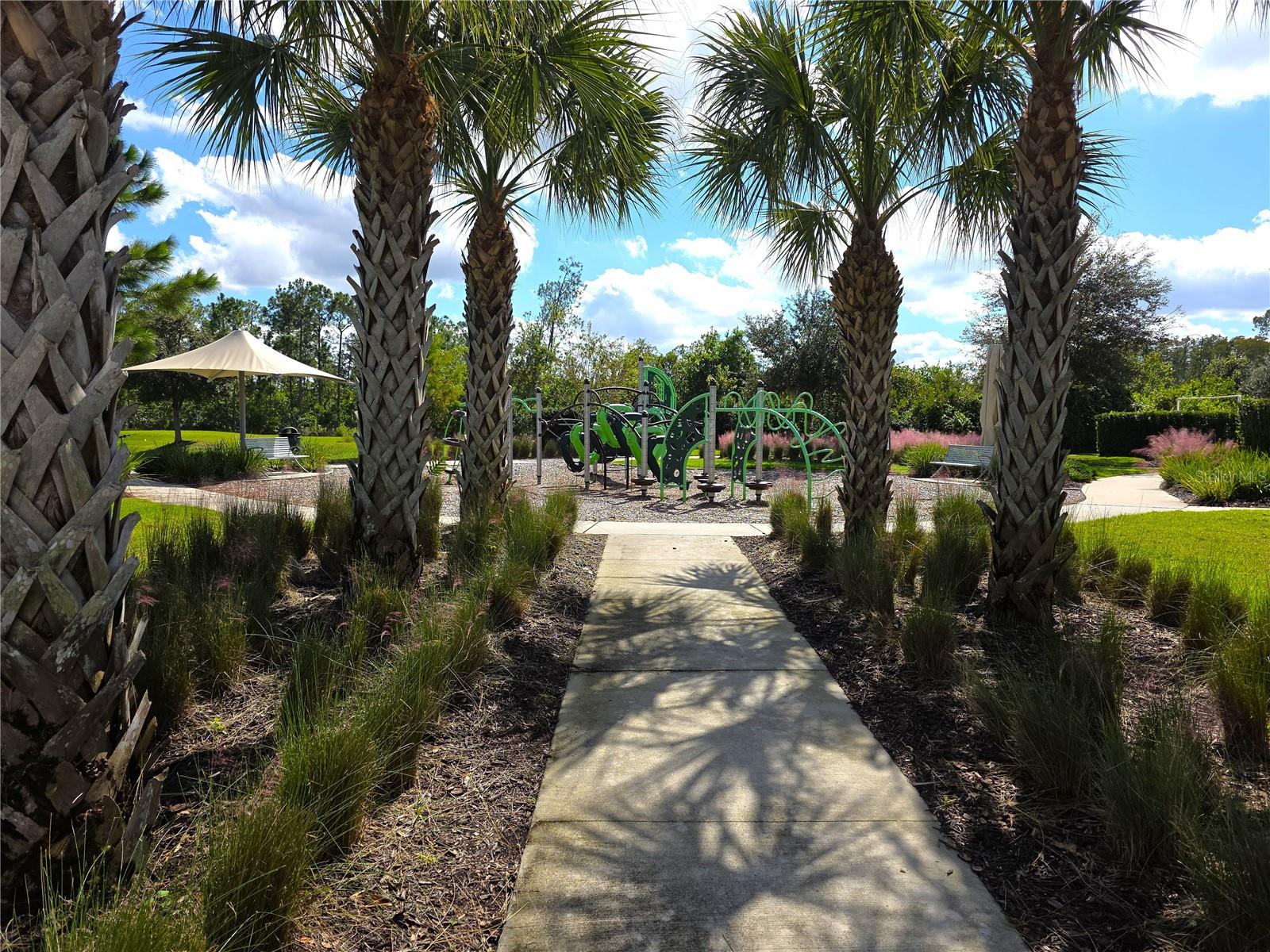 Image 38 of 43 For 17429 Painted Leaf Way