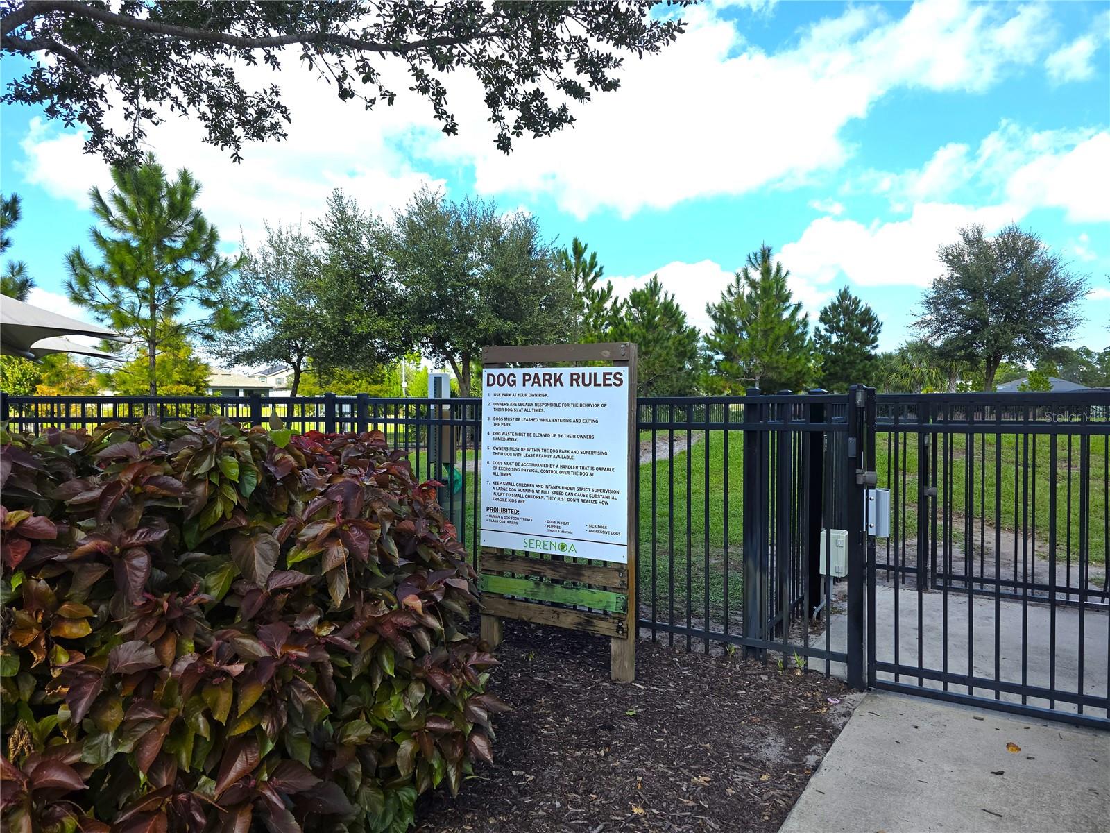 Image 42 of 43 For 17429 Painted Leaf Way