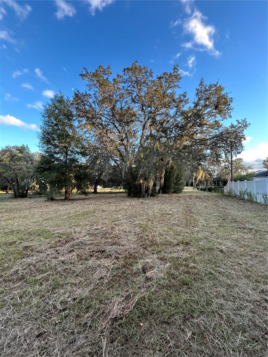 Image 4 of 6 For 000 Fifth Street