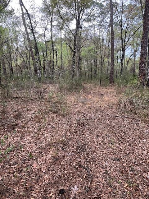 Details for 00 Packingham Drive, WEBSTER, FL 33597