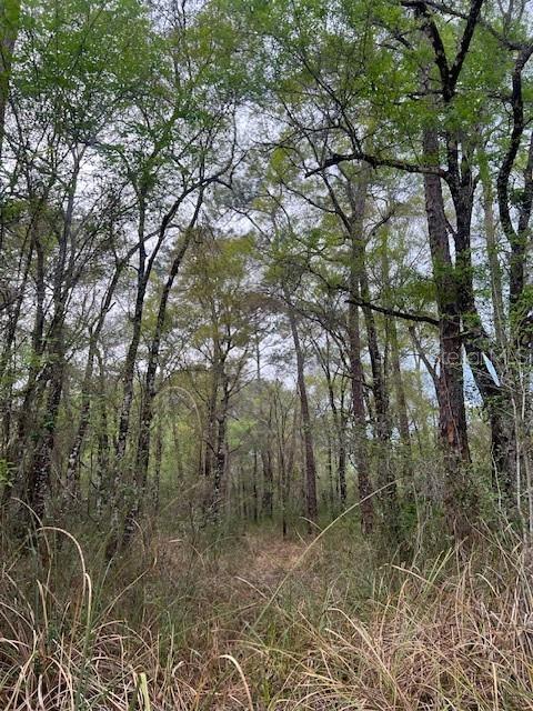 Image 3 of 4 For 00 Packingham Drive