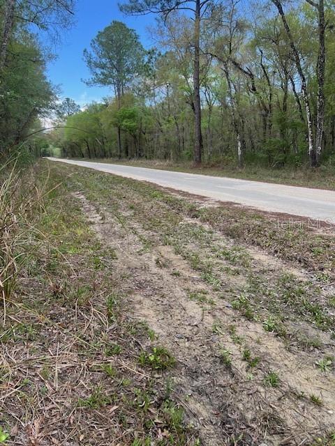 Image 4 of 4 For 00 Packingham Drive