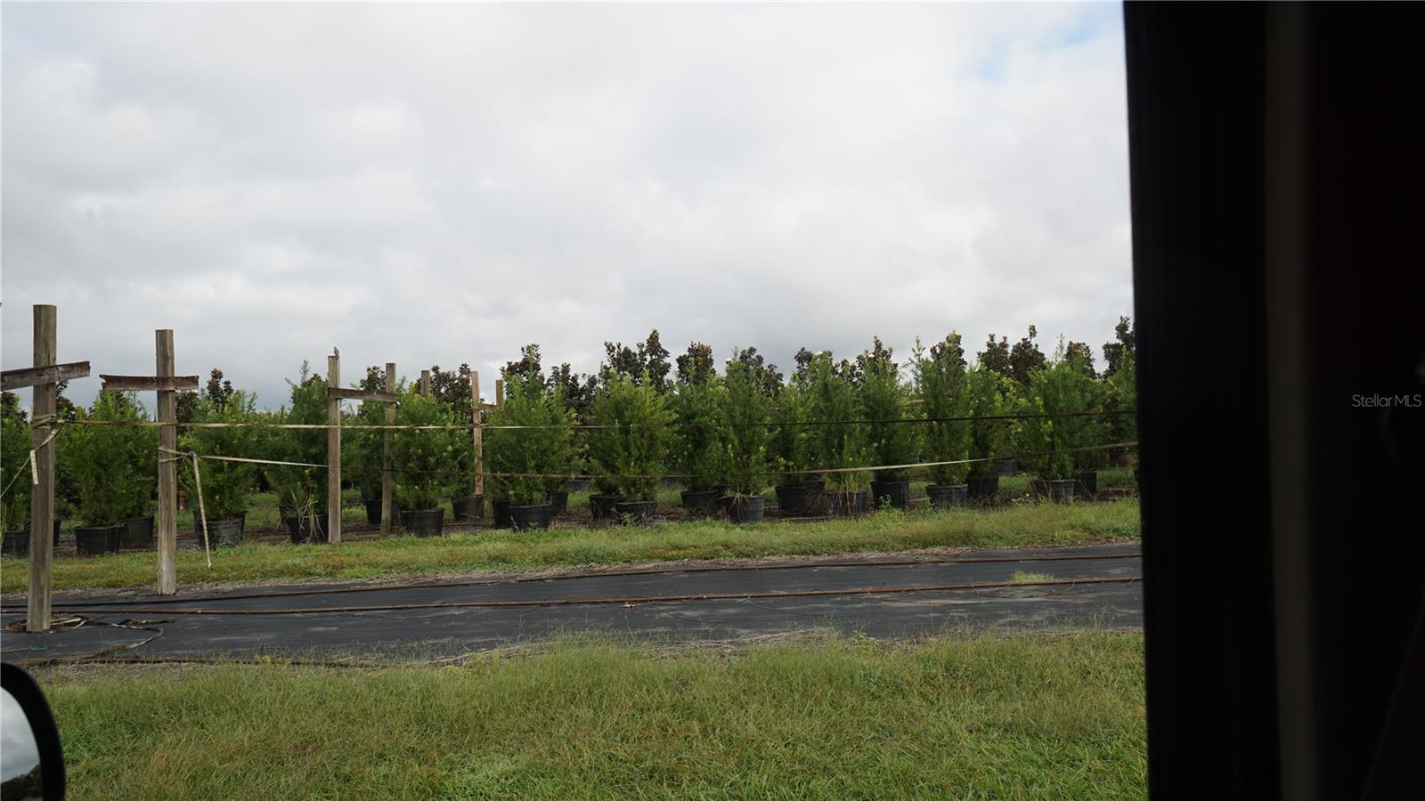 Listing photo id 10 for 00 Douglas Road