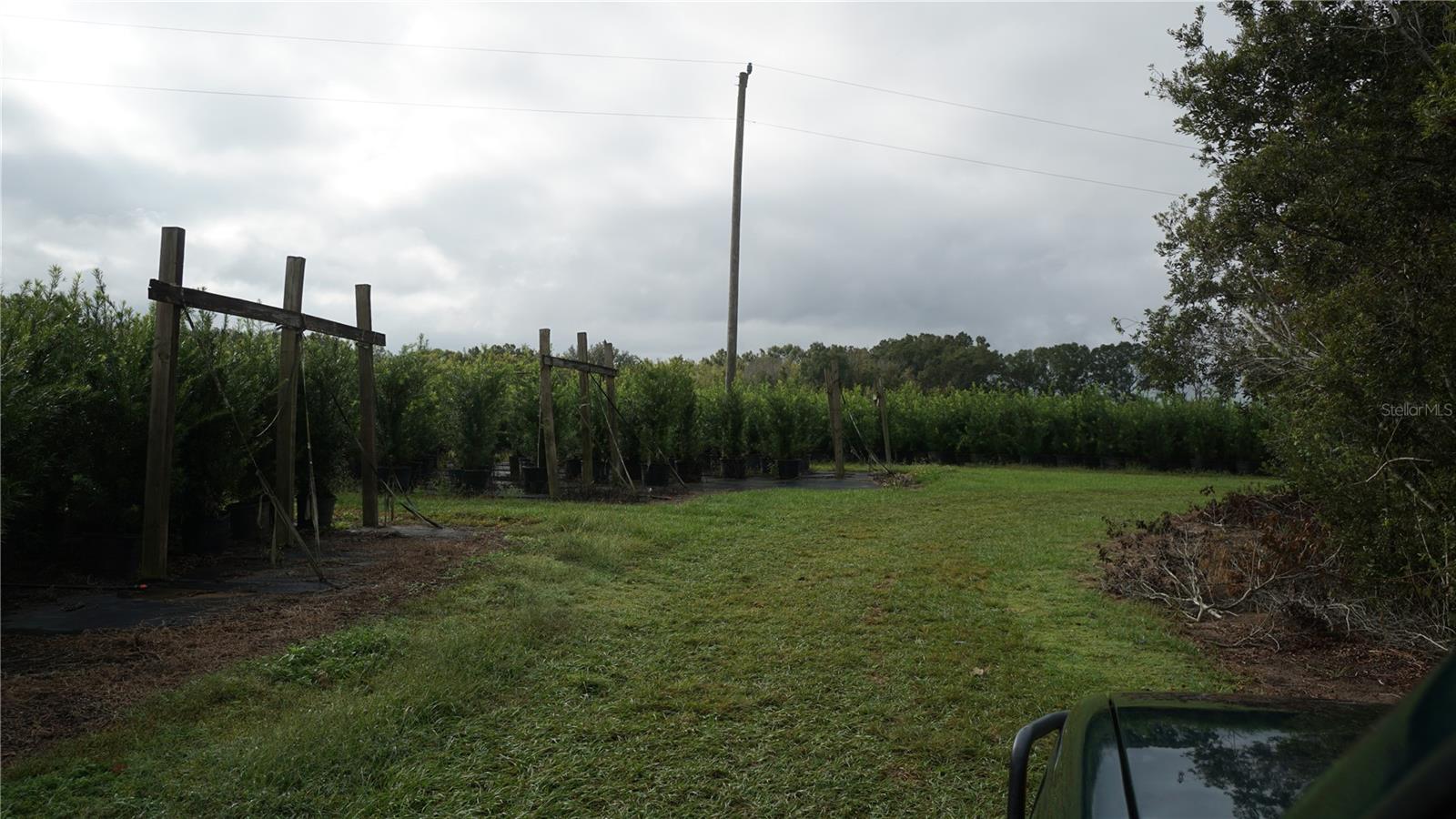 Listing photo id 11 for 00 Douglas Road