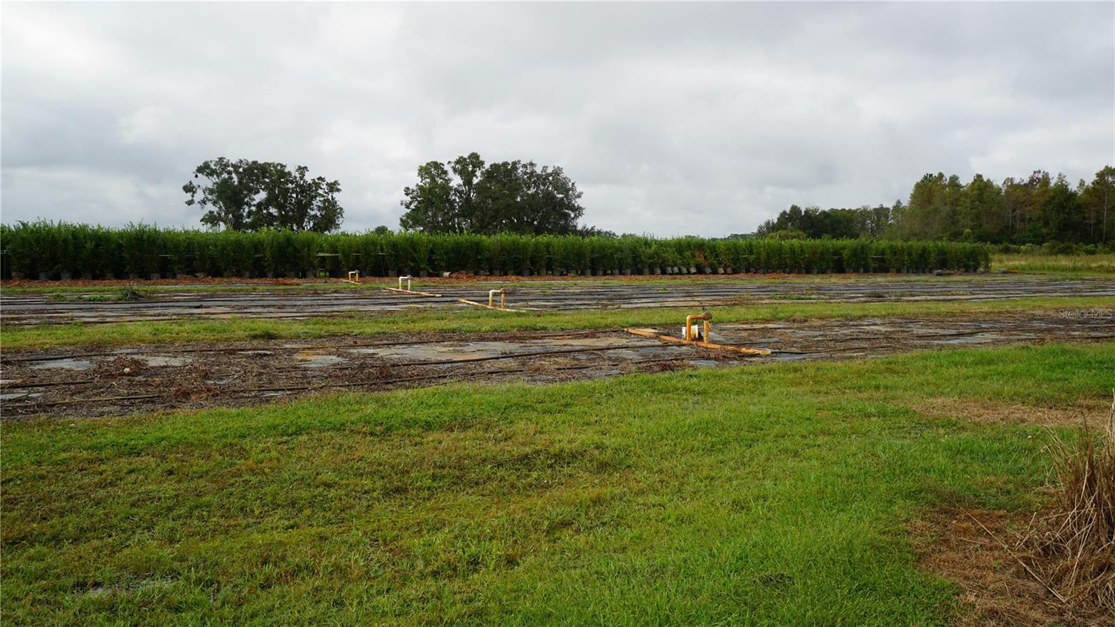 Listing photo id 12 for 00 Douglas Road