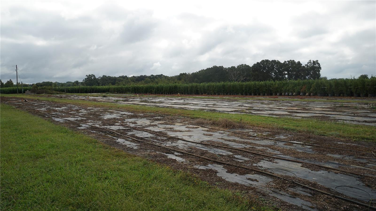 Listing photo id 13 for 00 Douglas Road