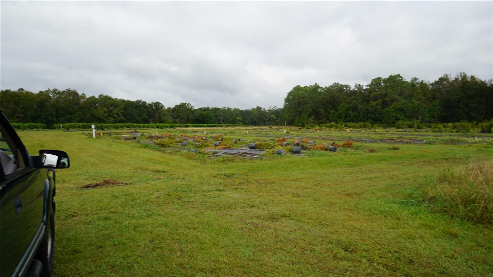 Listing photo id 14 for 00 Douglas Road