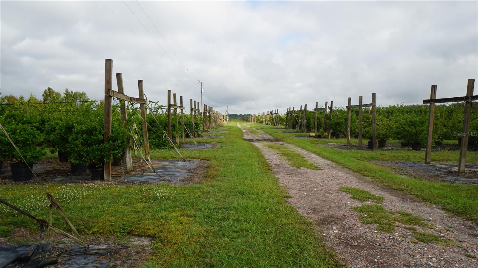 Listing photo id 15 for 00 Douglas Road