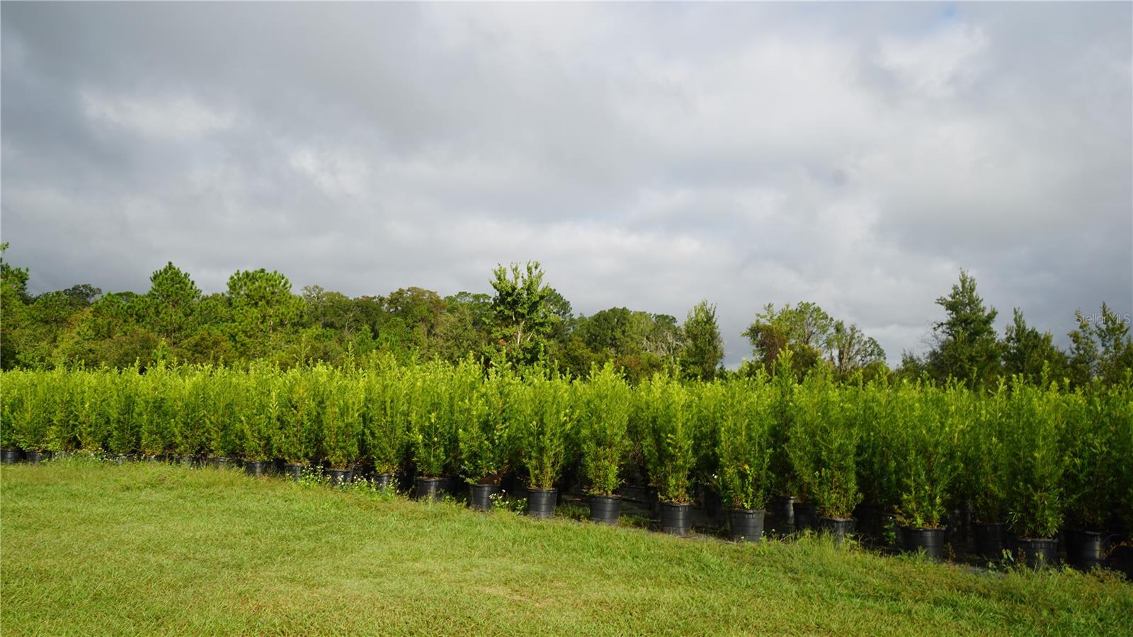 Listing photo id 0 for 00 Douglas Road