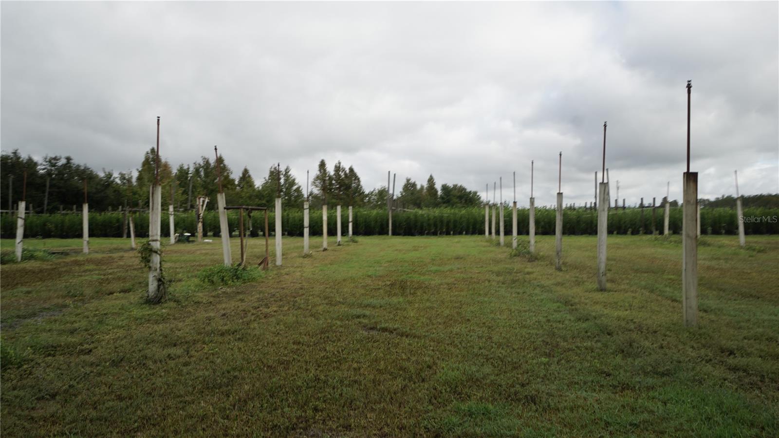 Listing photo id 18 for 00 Douglas Road