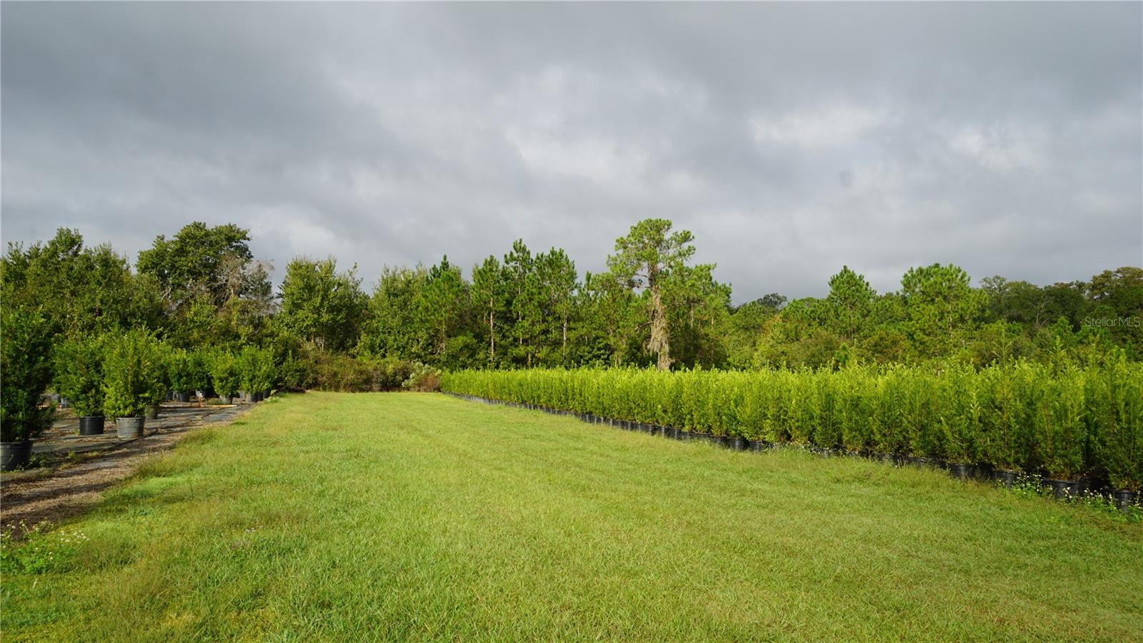 Listing photo id 1 for 00 Douglas Road