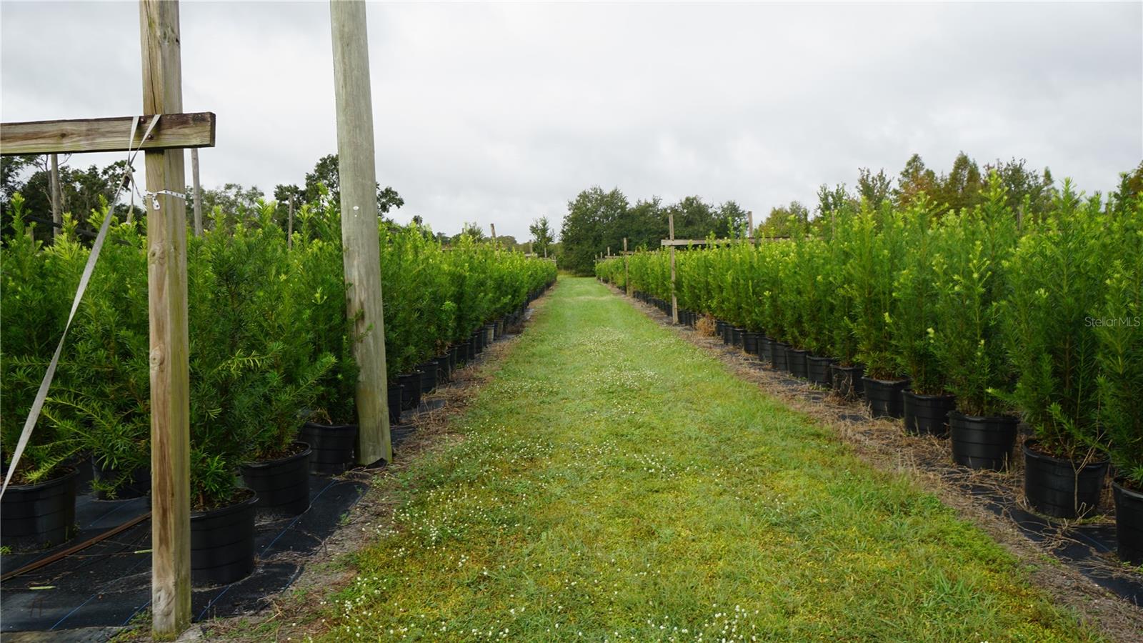 Listing photo id 2 for 00 Douglas Road