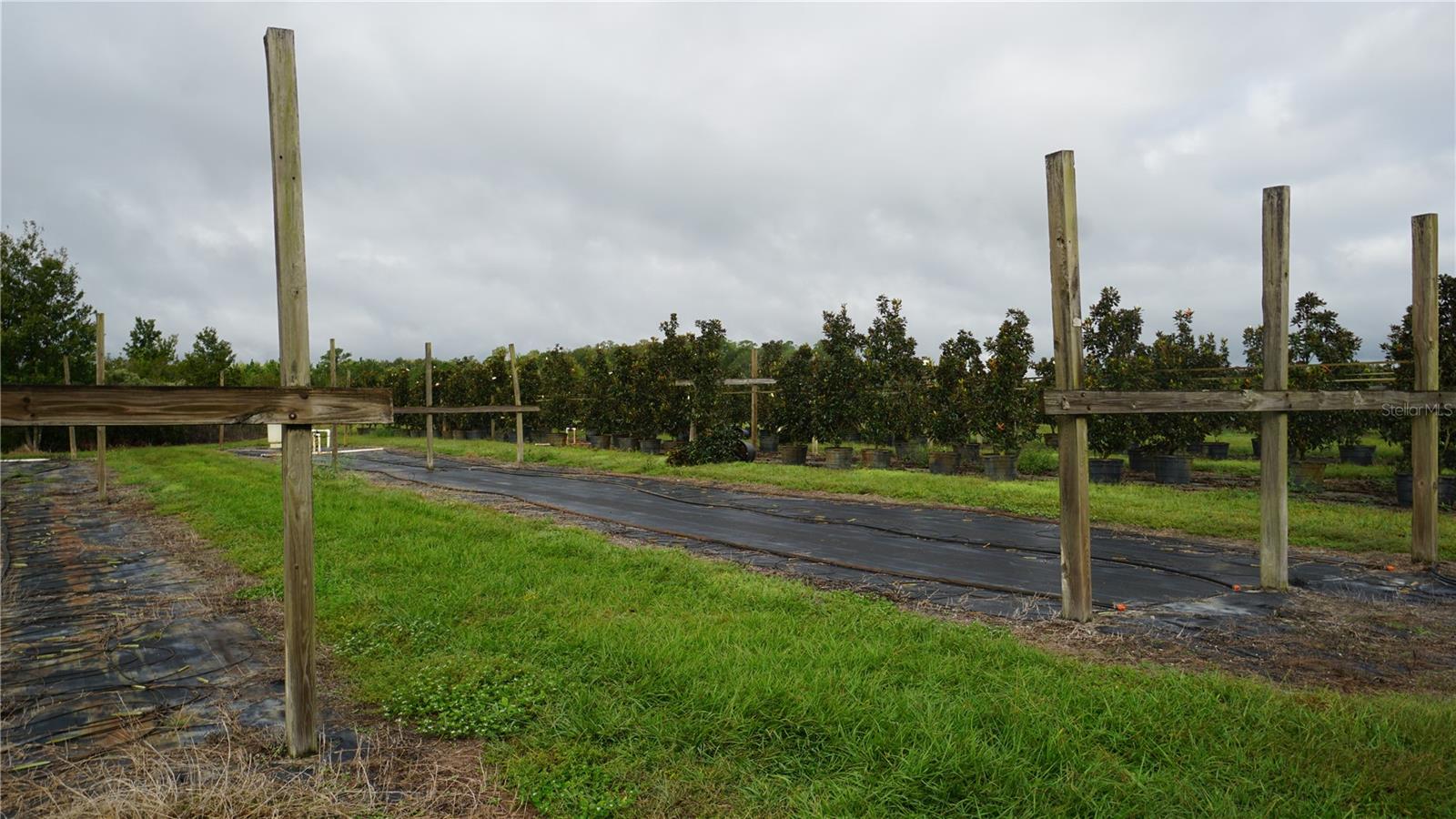 Listing photo id 3 for 00 Douglas Road