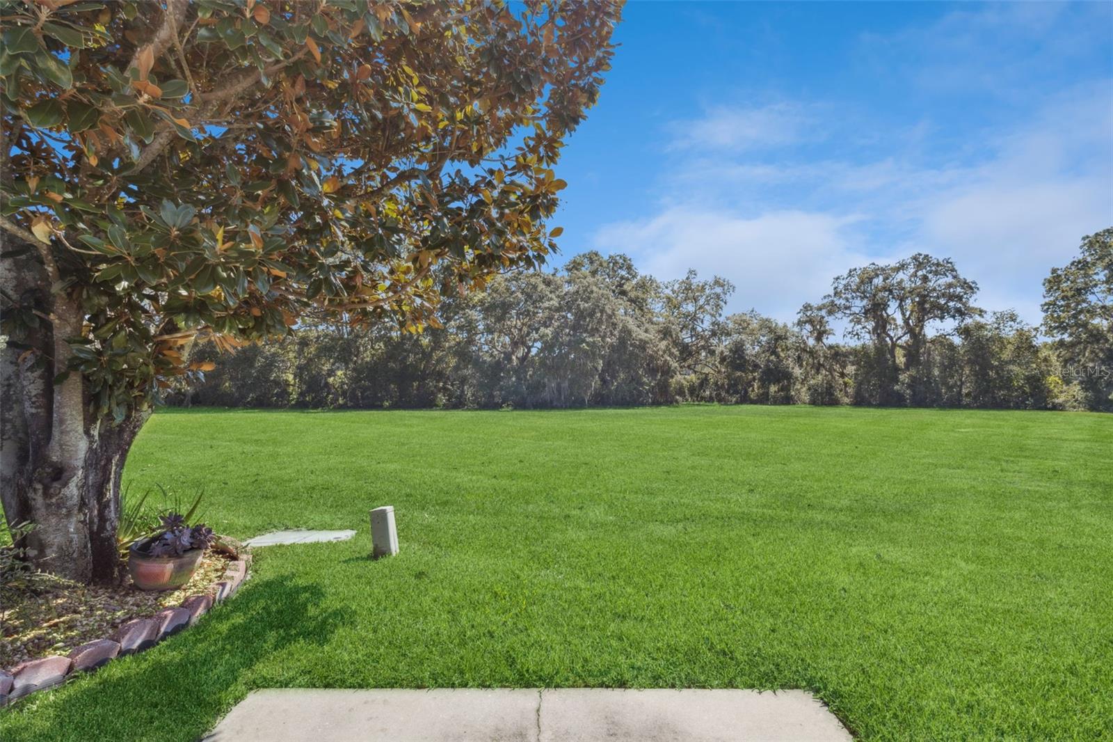 Image 6 of 82 For 26755 Cash Court