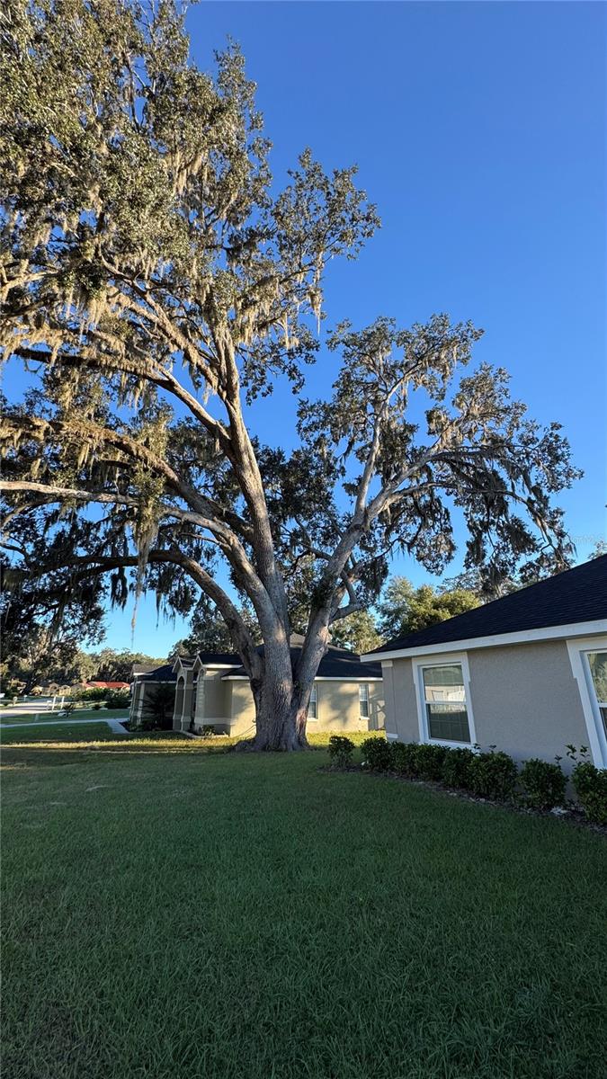 Image 62 of 81 For 10169 78th Court