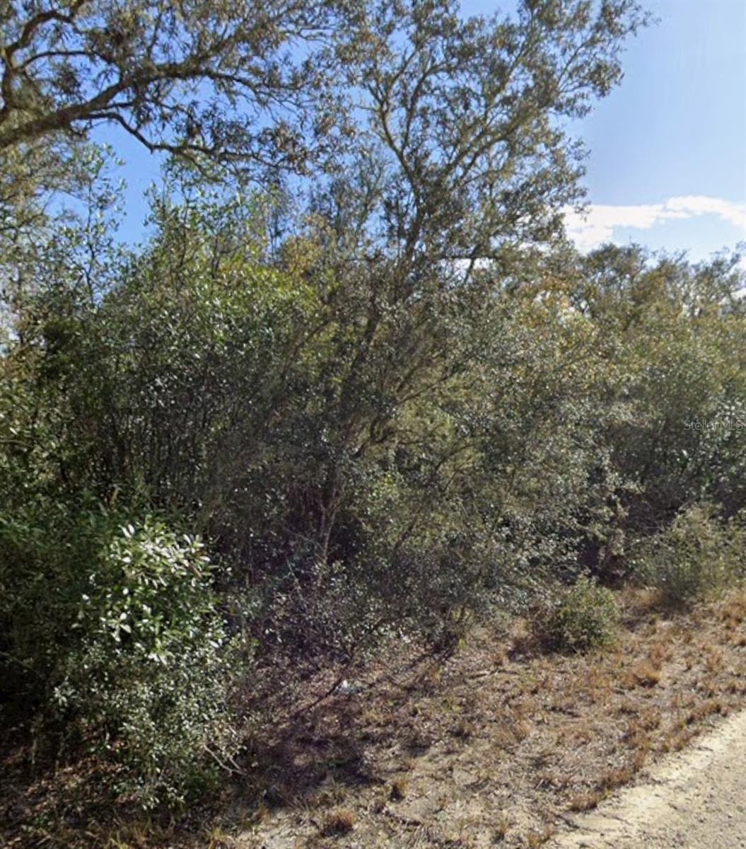 Image 2 of 2 For 00 Little Stone Drive